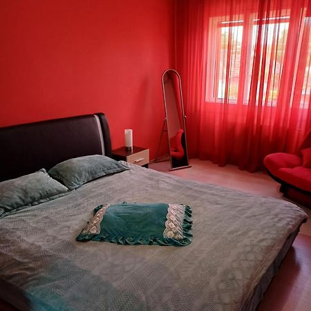 Apartament Cu Terasa La Casa Tina Timisoara Habitación foto