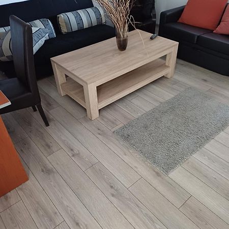 Apartament Cu Terasa La Casa Tina Timisoara Exterior foto