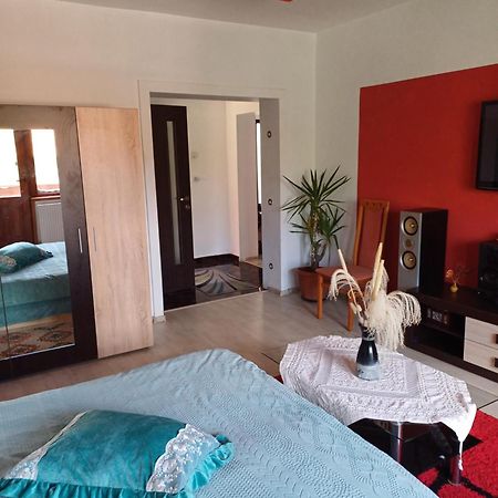 Apartament Cu Terasa La Casa Tina Timisoara Exterior foto