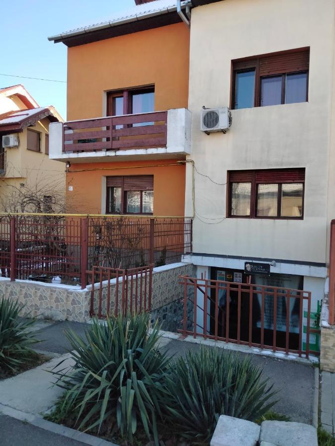 Apartament Cu Terasa La Casa Tina Timisoara Exterior foto