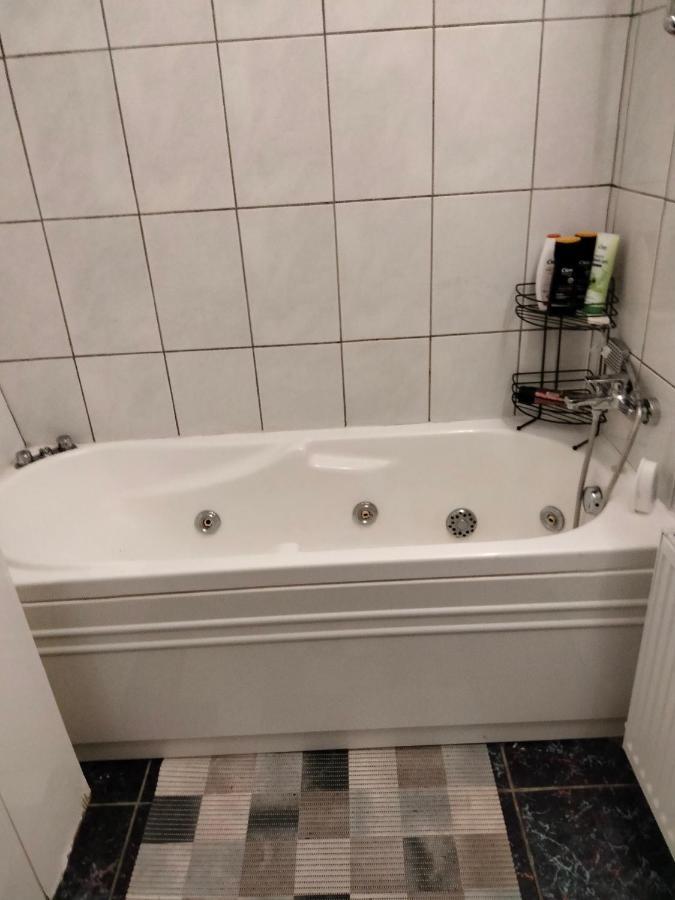 Apartament Cu Terasa La Casa Tina Timisoara Exterior foto
