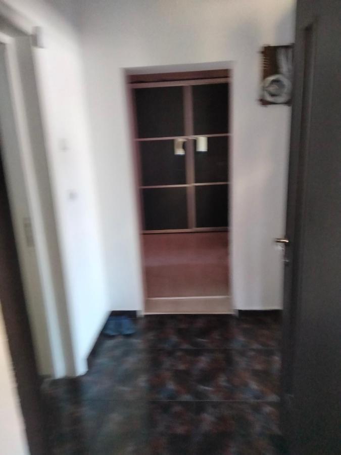 Apartament Cu Terasa La Casa Tina Timisoara Exterior foto