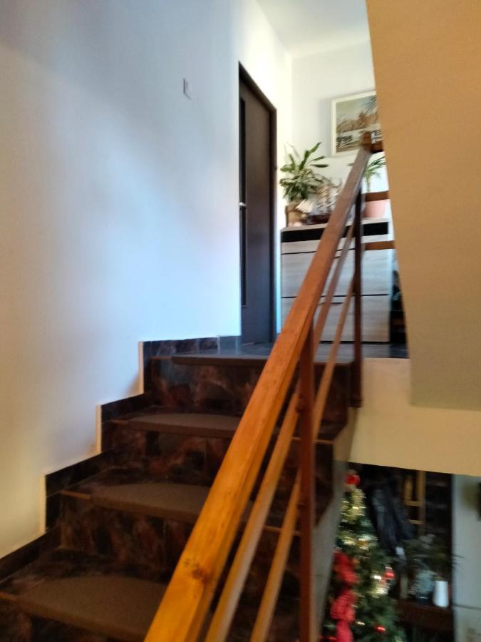 Apartament Cu Terasa La Casa Tina Timisoara Exterior foto