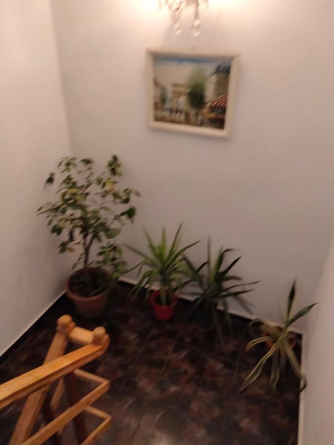 Apartament Cu Terasa La Casa Tina Timisoara Exterior foto
