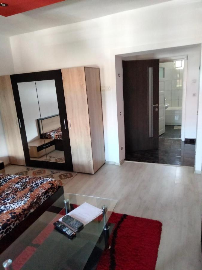 Apartament Cu Terasa La Casa Tina Timisoara Exterior foto
