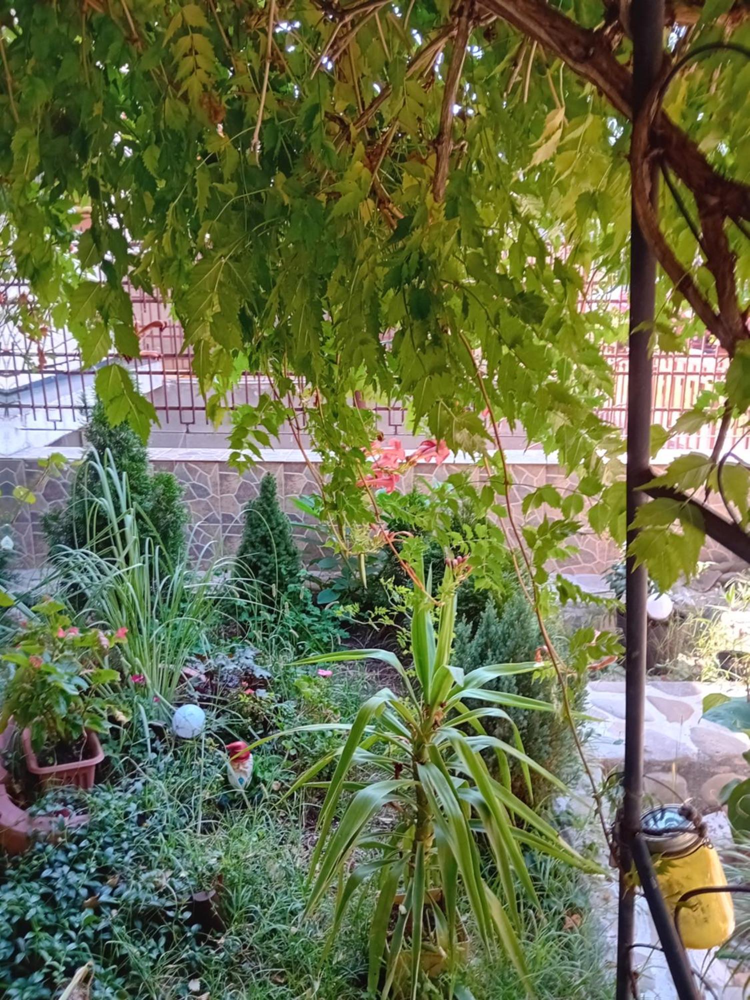 Apartament Cu Terasa La Casa Tina Timisoara Exterior foto