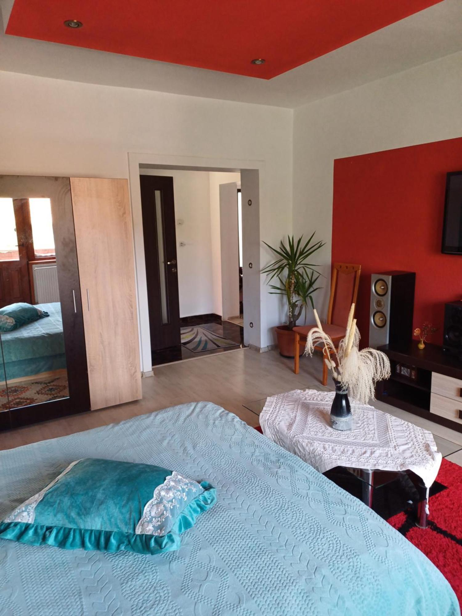 Apartament Cu Terasa La Casa Tina Timisoara Exterior foto